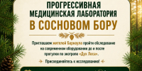 Жителей Барнаула приглашают принять участие в уникальном проекте «Дух Леса: спортзал под открытым небом» - Управление делами Губернатора и Правительства