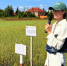 На Дне поля Иркутского ГАУ продемонстрировали научные разработки ускоренной селекции сои и рапса - Правительство Иркутской области