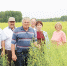 Поделились опытом и подвели итоги - Aromashevo.Online