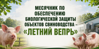 Госкомветеринарии информирует о проводимом с 20 июля по 21 августа 2026 г. месячнике «ЛЕТНИЙ ВЕПРЬ» - Комитет ветеринарии