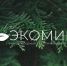 На фото — логотип международного экологического конкурса «ЭКОМИР 2026» на фоне размытой зелёной хвои - Коркинский муниципальный округ