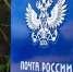 Фото: Федор Воронов/«Ямал-Медиа» - Ямал-Медиа