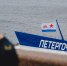 «Метеоры» до Петергофа обрели имена героев Великой Отечественной войны - Spbdnevnik.ru