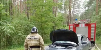 В «Орловском полесье» загорелся автомобиль - Орловский Вестник