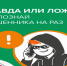 «Мои финансы» подготовили специальные карточки, в которых рассказывают, как распознать мошенников. - Советский район