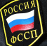 Судебные приставы Южного Урала взыскали более 13 млрд рублей за полгода - Полит74