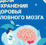 Неделя сохранения здоровья головного мозга - Центр охраны здоровья семьи