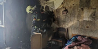 За сутки в Ленинградской области ликвидировали 12 пожаров - Online47.Ru