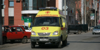 В Алтайском крае за лето уже 15 человек поступили в больницу с укусами гадюк - Комсомольская Правда