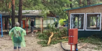 В Рубцовске детей из лагеря «Салют» эвакуировали из-за урагана - Комсомольская Правда