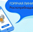 С 27 июля по 07 августа 2026 года проводится  «Горячая линия» по вопросам профилактики энтеровирусной инфекции. - Бабушкинский муниципальный округ