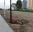 В Барнауле продолжают благоустройство общественной территории на ул.Шумакова, 9 в рамках нацпроекта - Администрация г. Барнаул