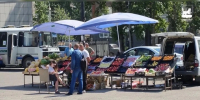 В Ново-Ленино пресекли незаконную торговлю овощами и фруктами - КП-Иркутск