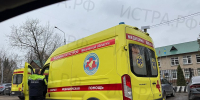 Истринская городская прокуратура взяла под контроль расследование уголовного дела о нападении собак на ребенка в деревне Павловское - Истра.РФ