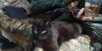 Враг бьёт по дамбе белгородского водохранилища — утренняя сводка - Столица С
