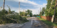 Фото: ГУ МЧС России по Алтайскому краю - Алтайская правда