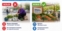 Можно ли торговать огурцами с земли? - I-ola.Ru