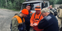 Добровольцы «ЛизаАлерт» и спасатели нашли пенсионера в лесу Прионежья - StolicaOnego.Ru