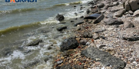 В Таганрогском заливе зафиксировали незначительное отклонение качества воды - Bloknot-Taganrog.Ru