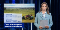 Оказывают услуги, продают товары собственного производства и сдают квартиры в аренду - Калининградская ГТРК