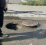 В Курске на улице Ольшанского залило канализационную сеть - Курская правда