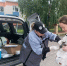 В Лаишевском районе продолжают вакцинировать и чипировать домашних животных - Камская новь