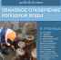 223ec3e3-0090-4b51-b9c8-498acd99e51b.jpg - Администрация г. Ростов-на-Дону