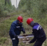 В Ленобласти после урагана усилят контроль за состоянием электросетей - Кингисепп-сегодня.рф