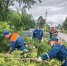 В Алтайском крае ликвидируют последствия мощной непогоды - 1-LINE