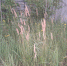 4tr34qrBSQyd2USkAvf032C7JsrfLa1zriY0e_8-LpIZruGxV_QjuvnhaVPAr71VhxcNYSId2beJMilDM06XTFkj.jpg - Местное время