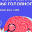 Неделя сохранения здоровья головного мозга: как защитить главный орган управления - Историко-краеведческий музей