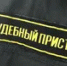 Жительница Башкирии погасила долг в полмиллиона рублей ради продажи дома - Башинформ
