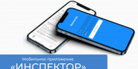 Мобильное приложение «Инспектор»: консультация с инспектором может проходить в формате видеоконференцсвязи - Департамент региональной безопасности