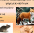 Меры профилактики инфекционных заболеваний, передающихся через укусы животных и насекомых - Сетевое издание Вестник Каякентского района