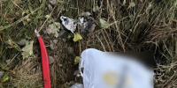 В Петербурге задержали подростка, устроившего по заданию куратора поджог ж/д оборудования - ТК Санкт-Петербург