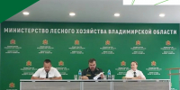 МИНИСТЕРСТВОМ ПОДВЕДЕНЫ ИТОГИ РАБОТЫ ЗА 1 ПОЛУГОДИЕ 2026 ГОДА - Минлесхоз Владимирской области