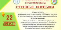 Афиша фестиваля " Степные россыпи" - Администрация г. Рубцовск