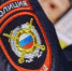 Жительницу Кургана оштрафовали за мат на номерном знаке авто - Новый мир