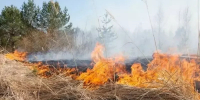 Белгородцам напомнили о пожарной безопасности во время уборки урожая - Сетевое издание Знамя 31