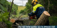 Энергетики «Орелэнерго» опережают план по расчистке просек ЛЭП - Орловский Вестник