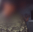В Воронежской области задержали пьяного мопедиста без прав - ГТРК Воронеж