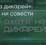 Поделитья во ВКонтакте - Братская Студия Телевидения