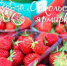 Вниманию производителей продовольственной продукции, оптовых предприятий, фермеров и предпринимателей. - Старооскольский городской округ