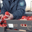 В Дагестане Россельхознадзор обнаружил 206 тонн зараженной плодоовощной продукции - РИА Дагестан