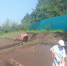 раскопки - V-Kurse.Ru