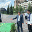 Партдесант Единой России оценил качество озеленения Магаса - Администрация МО г. Карабулак