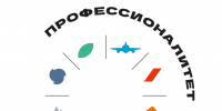 Калужан приглашают стать волонтёрами чемпионата «Профессионалы» - Телерадиокомпания Ника