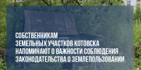 Собственникам земельных участков Котовска напоминают о важности соблюдения законодательства о землепользовании - ИА ПроКотовск