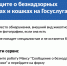 Сообщаем о запуске сервисов «Отлов безнадзорных животных» и «Запись на прием в госветклинику». - Администрация МО Курчатов