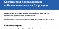 Сообщаем о запуске сервисов «Отлов безнадзорных животных» и «Запись на прием в госветклинику». - Администрация МО Курчатов